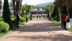 მარტვილში საერთაშორისო ოლიმპიური დღისადმი მიძღვნილი გარბენი მოეწყო
